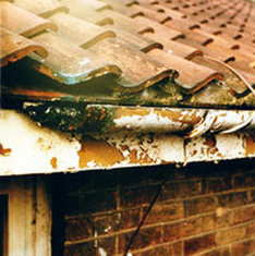 Example of a rusted and collapsed cast iron gutter
